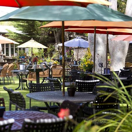 Wallington Oakdene Vineyards Guesthouse المظهر الخارجي الصورة