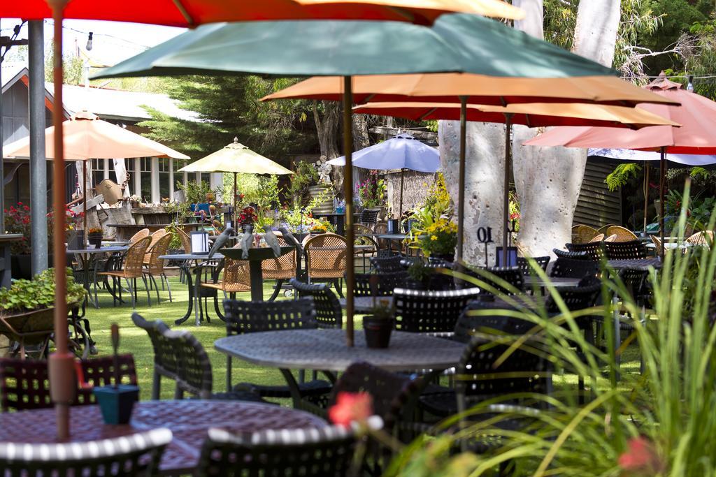 Wallington Oakdene Vineyards Guesthouse المظهر الخارجي الصورة