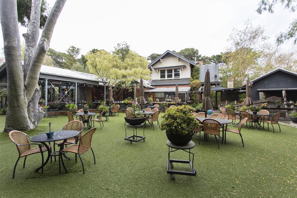 Wallington Oakdene Vineyards Guesthouse المظهر الخارجي الصورة